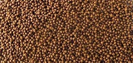 2mm fish feed